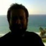 התמונה של goose