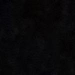 התמונה של בלה בלה