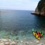 התמונה של צחי