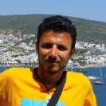 התמונה של danpol